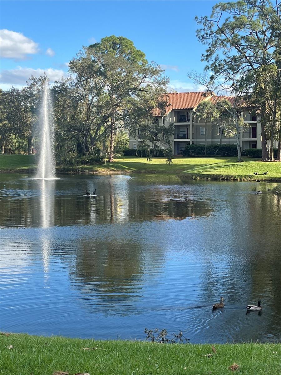 LOCATION, LOCATION HAS TO CLOSE BY DEC 7TH !! A fabulous opportunity for a savvy cash investor. On the pond, this hidden gem, across the street from the entrance to Celebration Florida, is turn key. The Parkway Palm Resort is one exit from Disney, and boasts an excellent short term rental, and vacation home. The HOA covers ELECTRIC, water, cable, WiFi, exterior insurance, pest control. A fabulous opportunity for a high ROI yielding investment. Priced to sell. The unit comes turn key, fully furnished with manufactured flooring. Sleeps 6 with the pull out couch bed and two queens in the master bedroom. Enjoy dinner on the pond with its remarkable pond view. Second floor unit located in building 6, this unit is directly across from the club house, pool, and jacuzzi. This is the best positioned condo. Enjoy pool, childs pool, jacuzzi, and fitness center, barbecue area, basket ball, and club house. This water view condo is a high yielding investment. Call today.