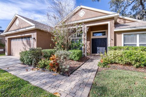 A home in LITHIA