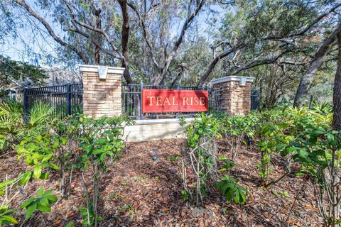 A home in LITHIA