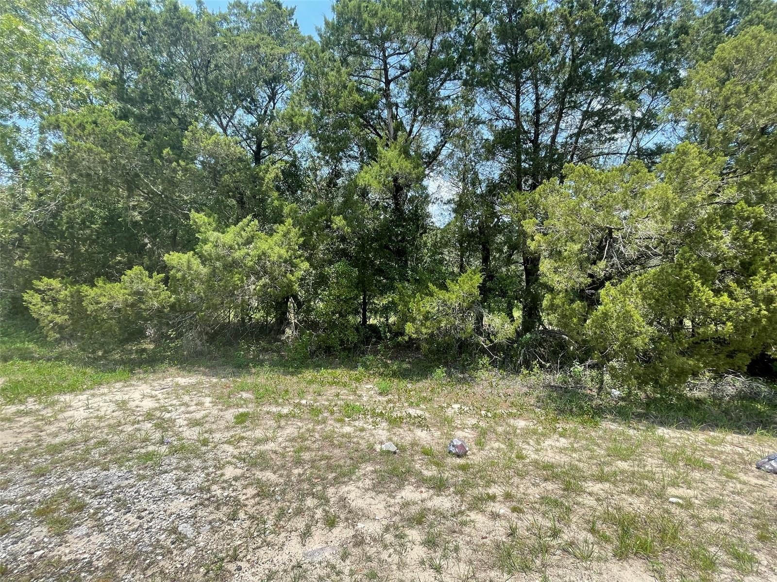 POTTERFIELD GARDEN AC - H - Land