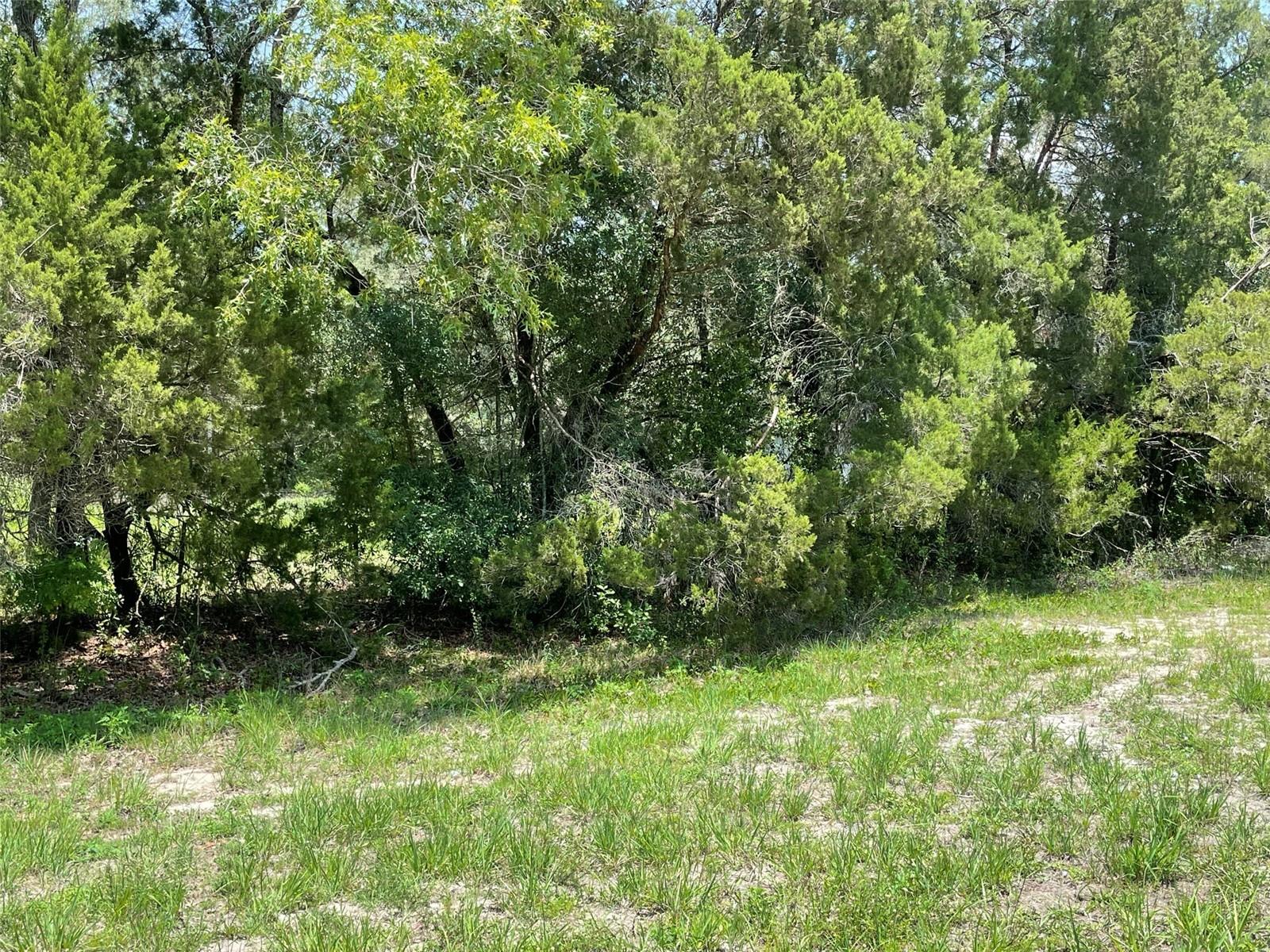 POTTERFIELD GARDEN AC - H - Land