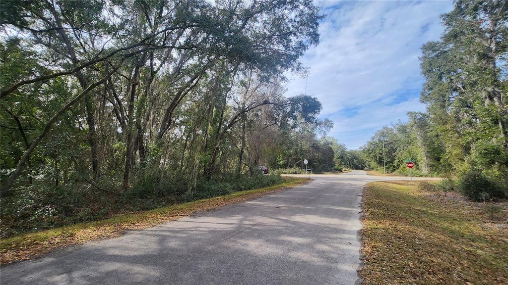 Photo of 00 Fisher Way Run, Ocklawaha, FL 32179 (MLS # OM693157)