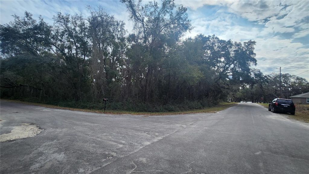 Photo of 00 Fisher Way Run, Ocklawaha, FL 32179 (MLS # OM693157)