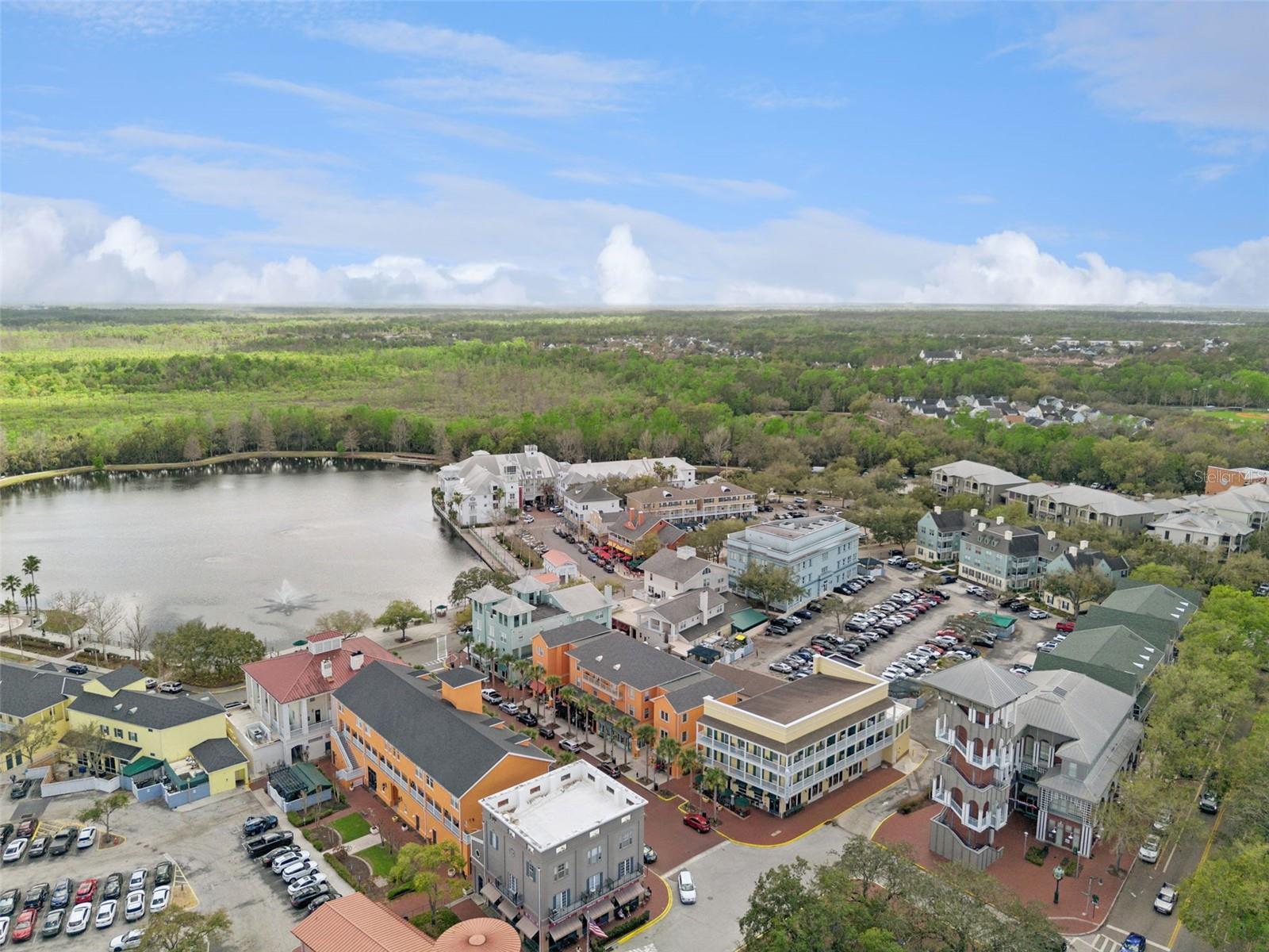 TOWN CENTER CELEBRATION - Residential