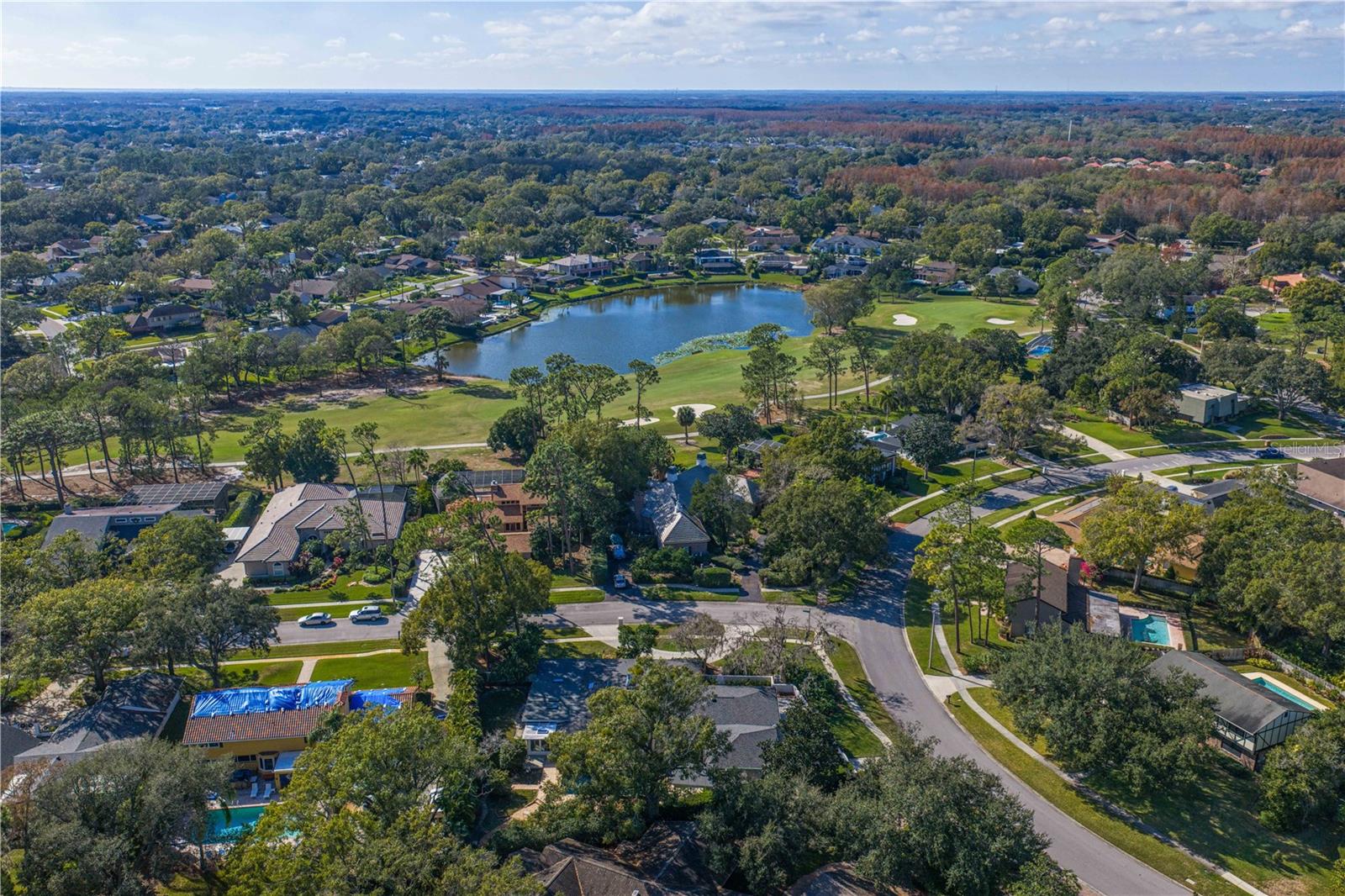 CARROLLWOOD VILLAGE SEC 1 - Residential