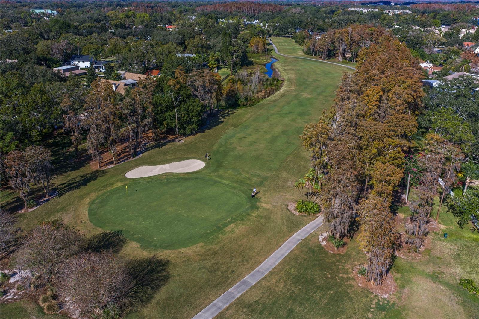 CARROLLWOOD VILLAGE SEC 1 - Residential