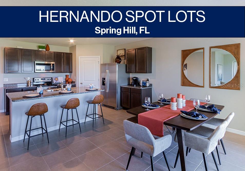 SPRING HILL UNIT 22 HERNANDO SPOT LOTS - Residential