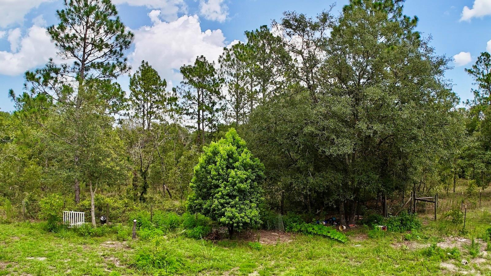 LAKE TROPICANA RANCHETTES - Residential