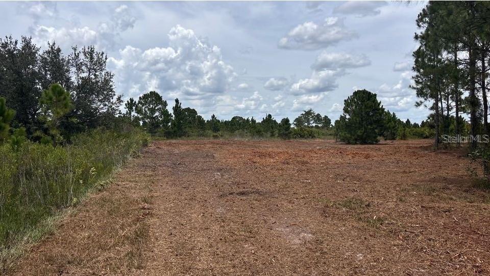 SOUTHERN COLONIZATION CO - Land