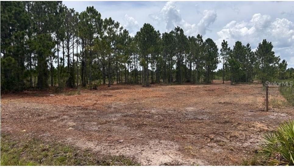 SOUTHERN COLONIZATION CO - Land