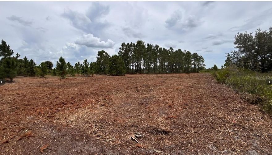 Build, farm, or invest! Beautiful 1.25-acre dry lot located in peaceful Viking Prairie, recently cleared while preserving mature trees that provide perfect shade for relaxing under a hammock after a family barbecue. Power available at the front, no wetlands, no HOA, and a completed survey included. Whether you're dreaming of building a custom home, placing a mobile home, or creating a weekend family retreat, this property offers the flexibility you need. Zoned agricultural, it allows for animals like chickens, pigs, and horses. You can also install solar panels and a water system to live off-grid. Far from the city's traffic and stress, here you'll enjoy privacy, open skies, and the sound of birds—your ideal escape into nature.