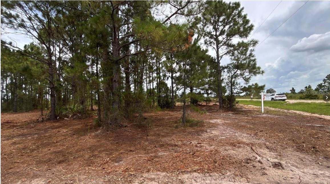 SOUTHERN COLONIZATION CO - Land