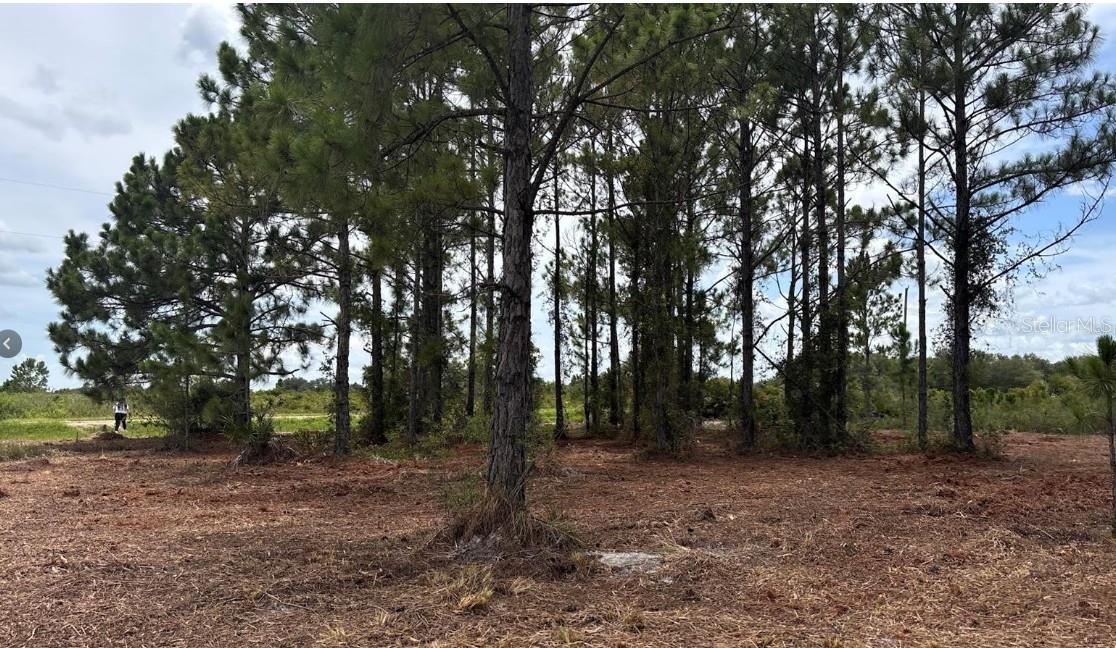 SOUTHERN COLONIZATION CO - Land