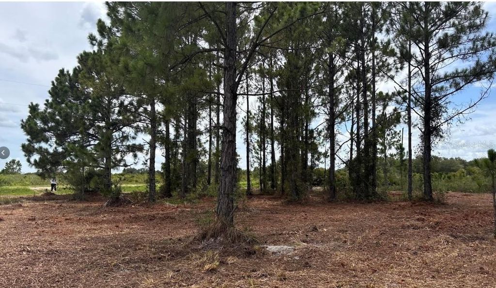 Photo of 18121 NW 304th Street, Okeechobee, FL 34972 (MLS # S5148624)