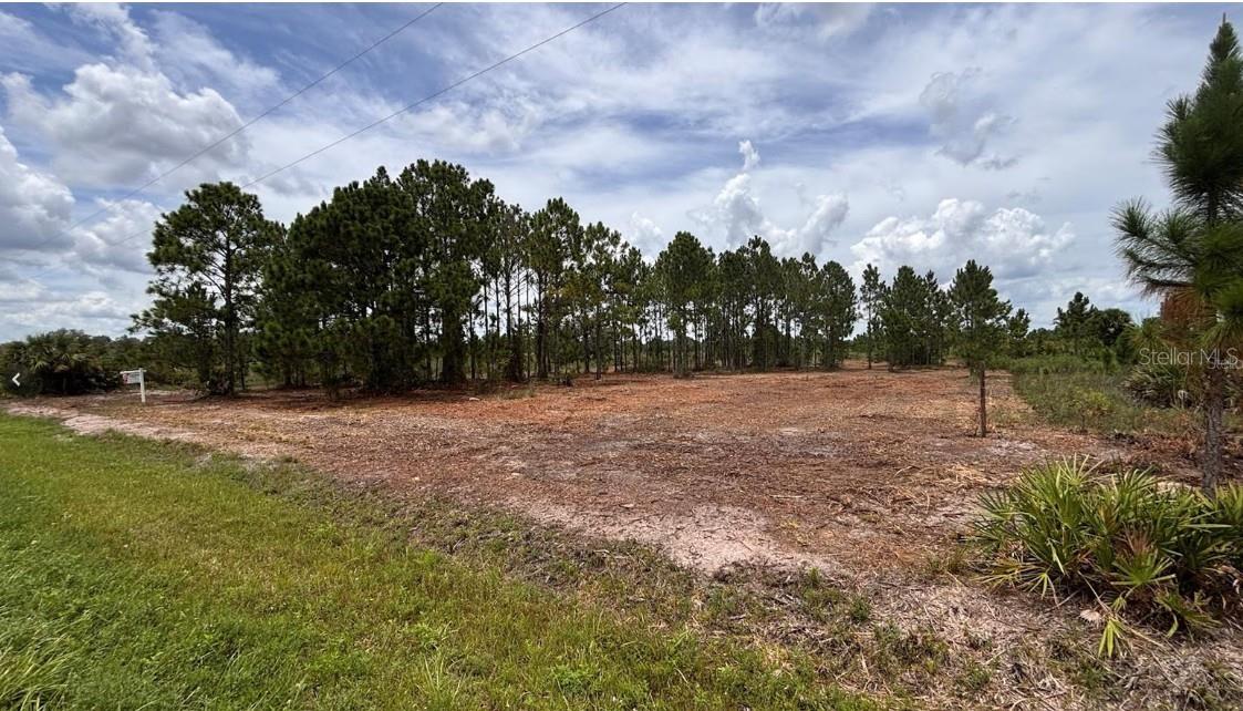 SOUTHERN COLONIZATION CO - Land