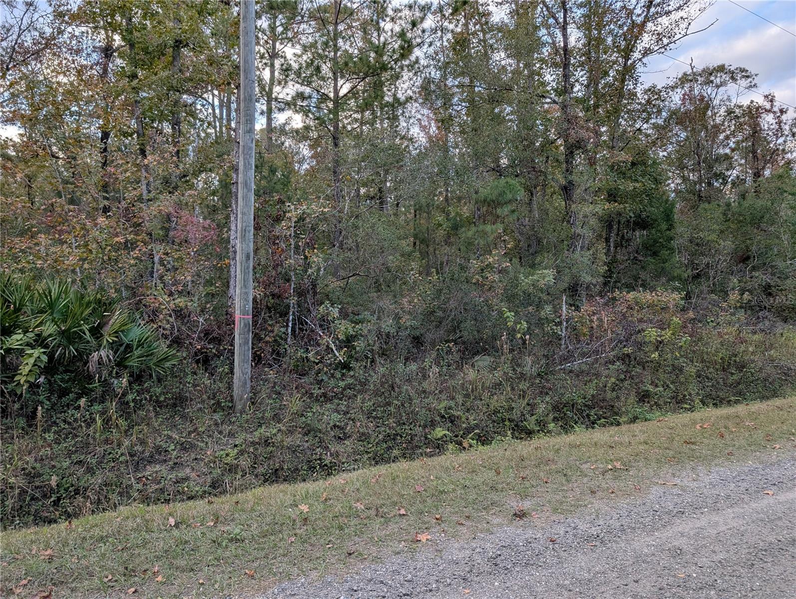 FLAGLER ESTATES - Land