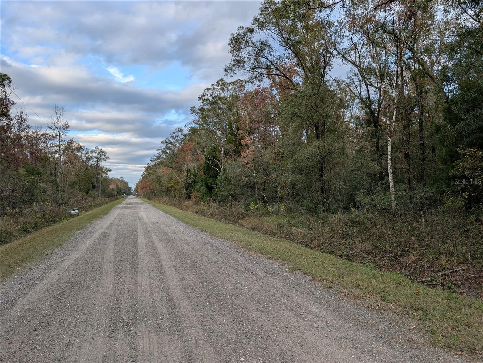 FLAGLER ESTATES - Land