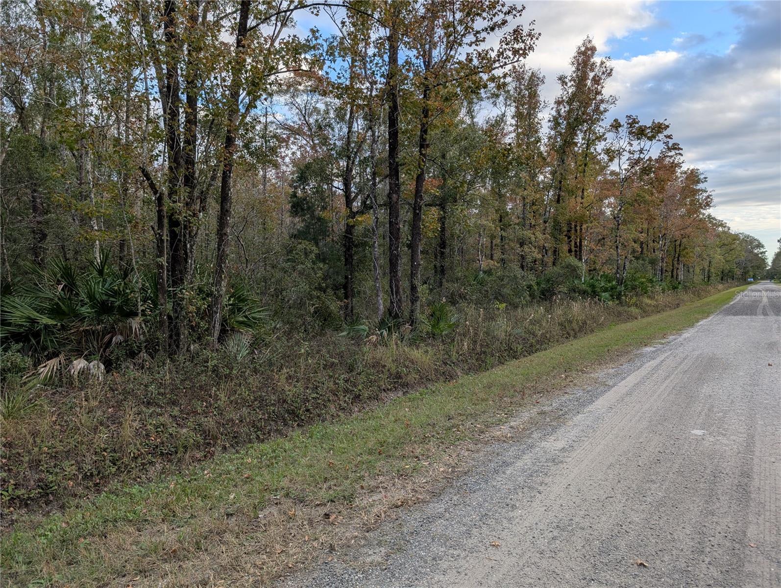 FLAGLER ESTATES - Land