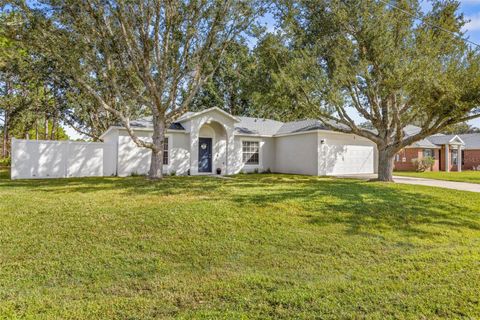 A home in PALM COAST