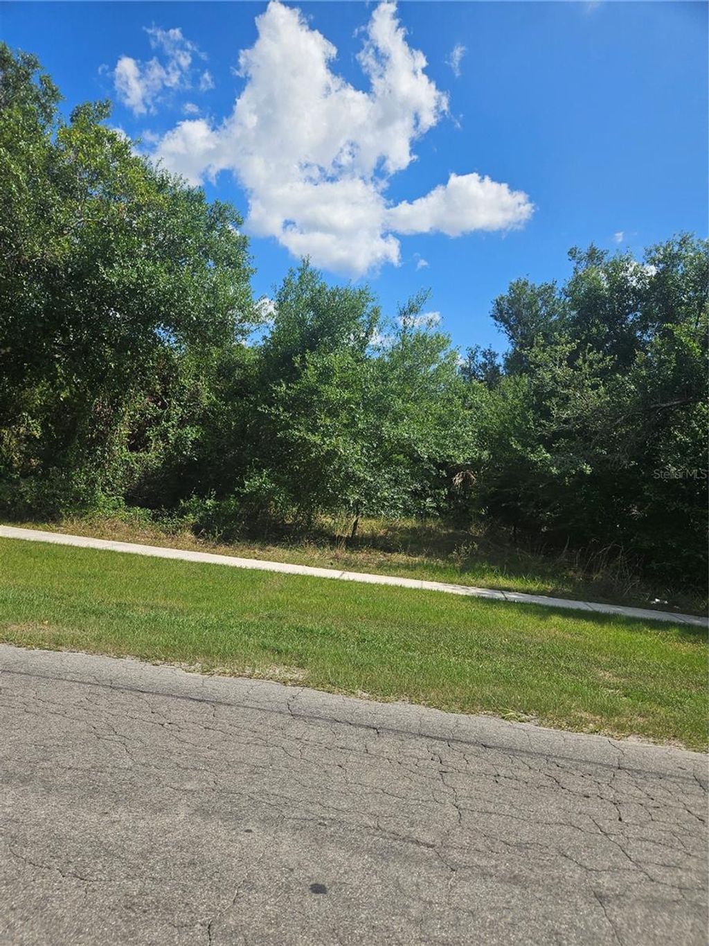 Photo of E Gibson Street, Arcadia, FL 34266 (MLS # A4652955)