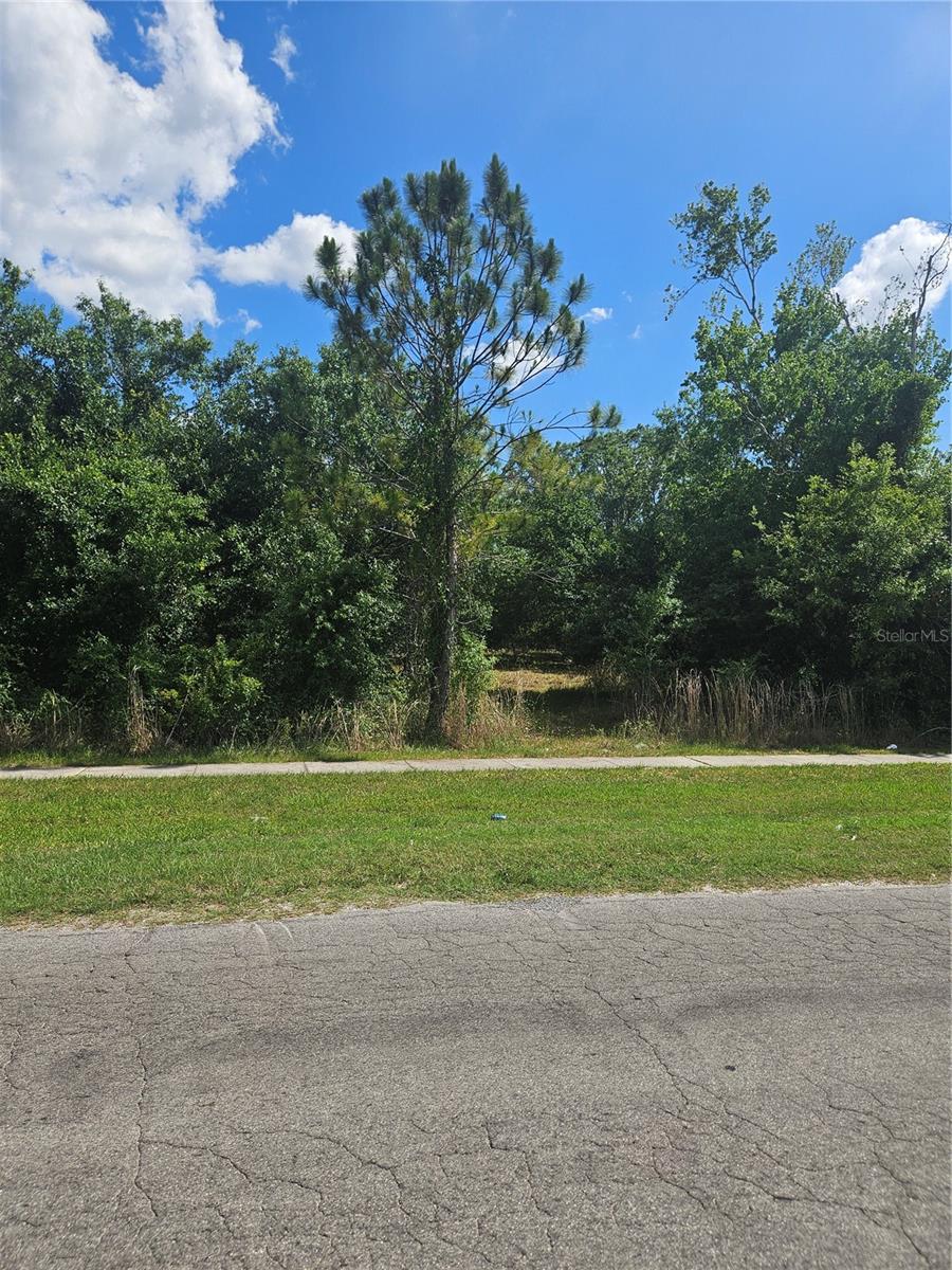 TIER 08/SUNNILAND - Land