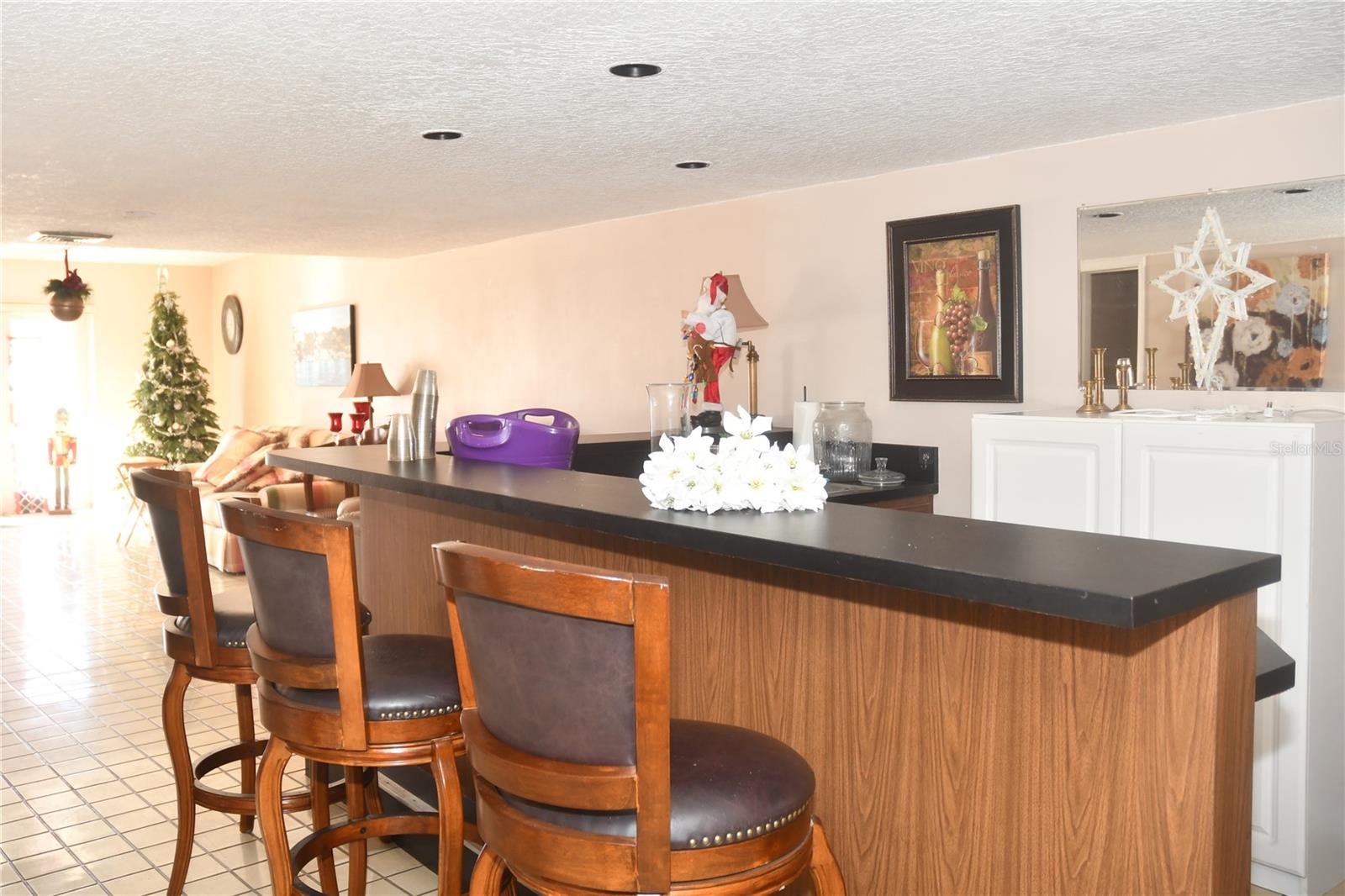 MOUNT DORA VILLA DORA CONDO UNIT 01 - Residential