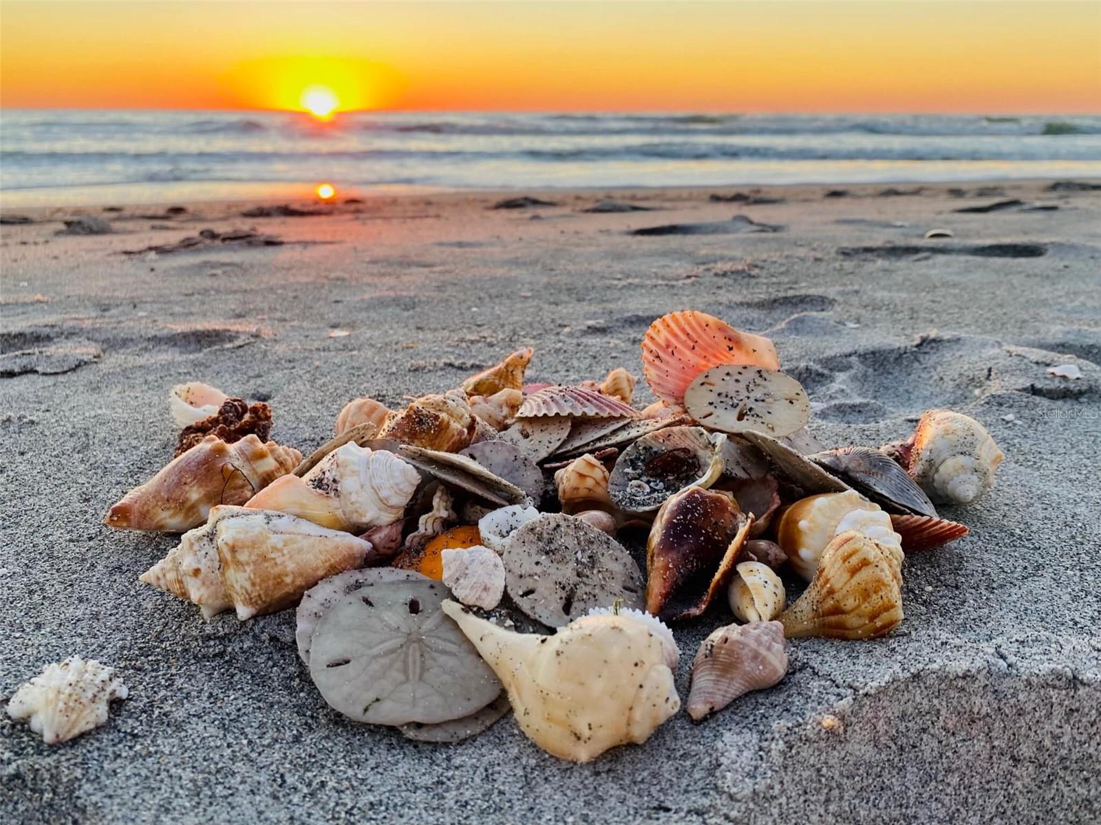 GULF TWIN TOWERS - Residential