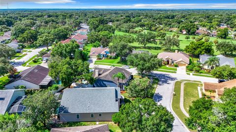 A home in VALRICO