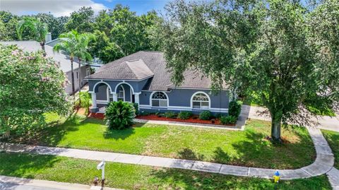 A home in VALRICO