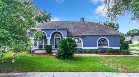 A home in VALRICO