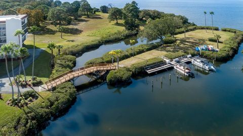 A home in TARPON SPRINGS