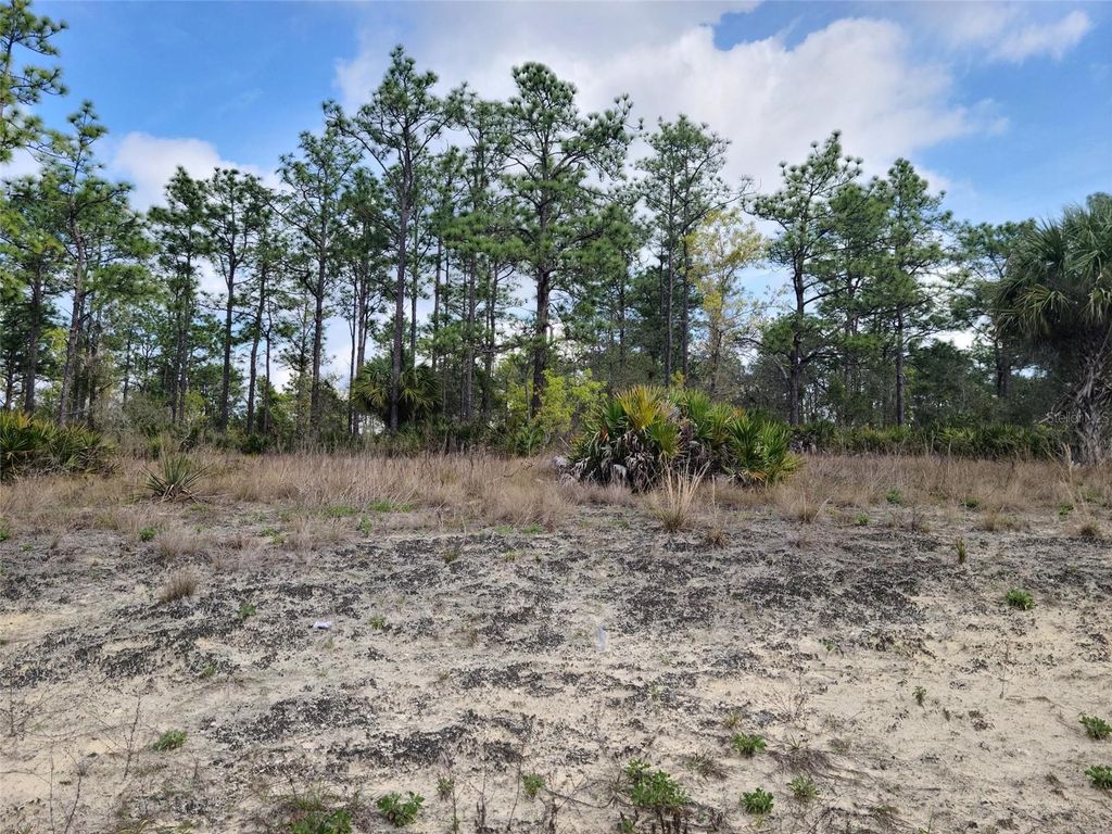 Photo of 12121 Thrasher Avenue, Weeki Wachee, FL 34614 (MLS # W7878933)