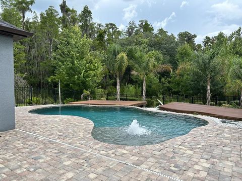 10520 MISTFLOWER LANE TAMPA FL 33647