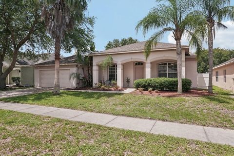 Photo of 10905 Wildcat Drive, Riverview, FL 33579 (MLS # TB8393986)