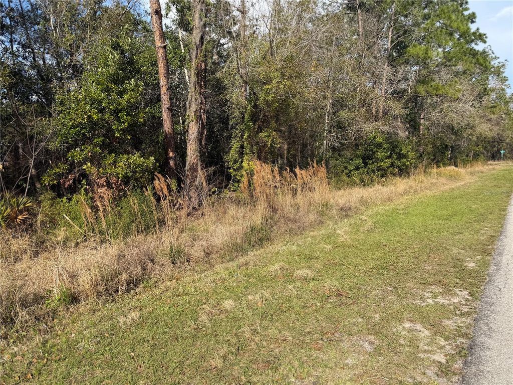 Photo of 8824 Sun N Lake Boulevard, Sebring, FL 33872 (MLS # R4910846)