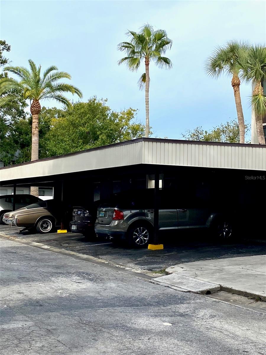 2209 BELLEAIR ROAD C5