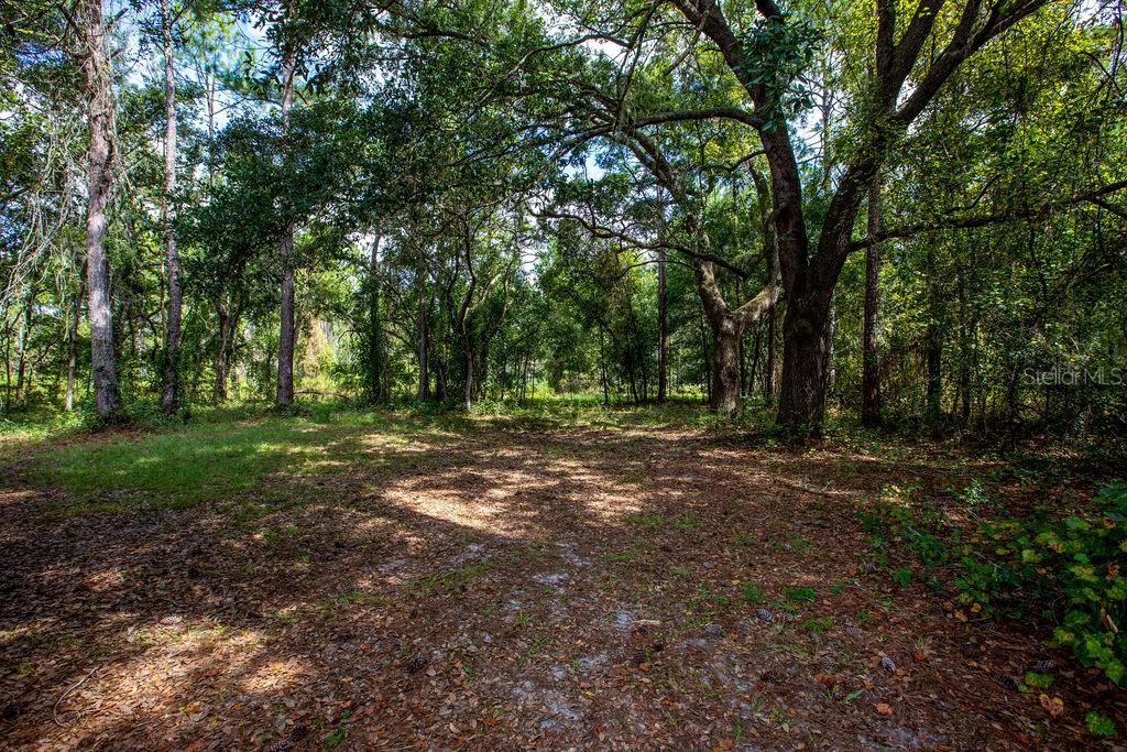 QUAIL HAMMOCK - Residential