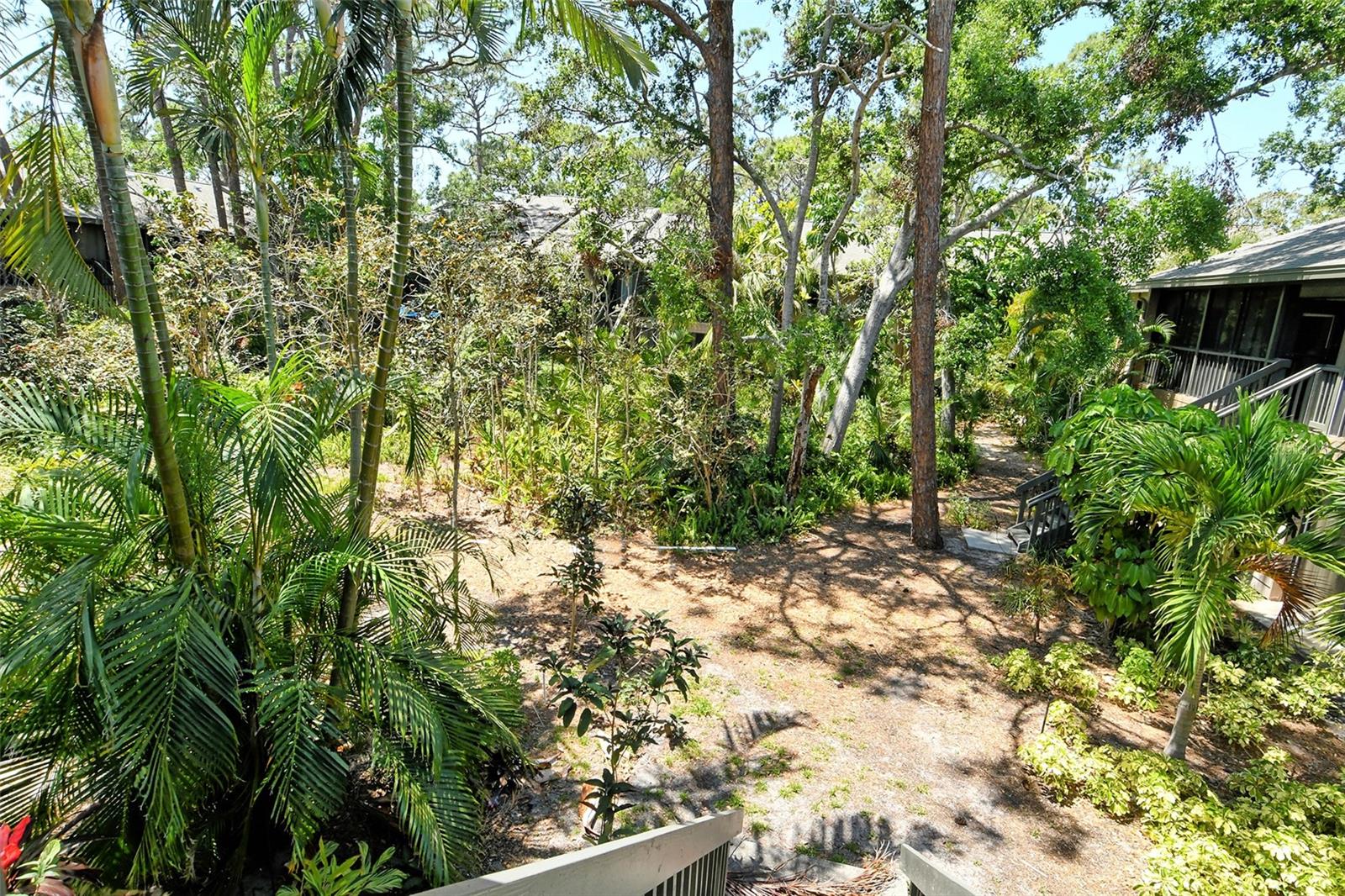 PELICAN COVE XIV - Residential Lease