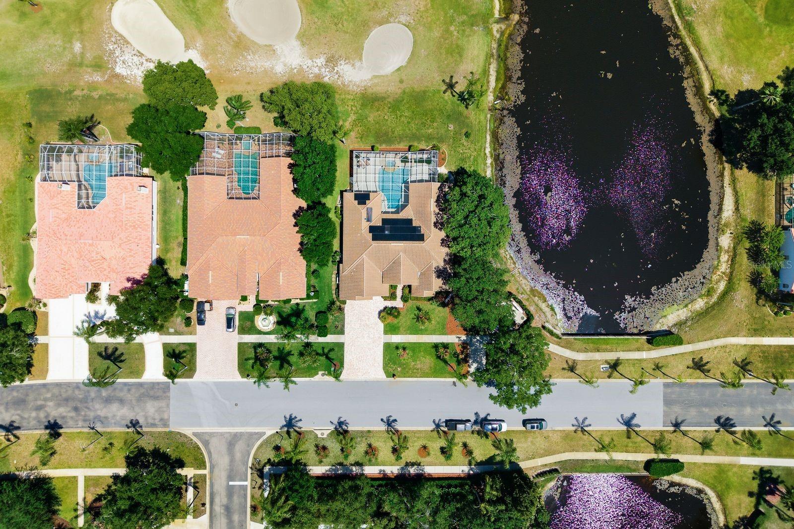 CRESCENT OAKS COUNTRY CLUB PH 1 - Residential