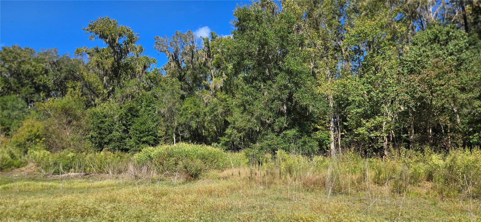 LUDLOW HEIGHTS - Land