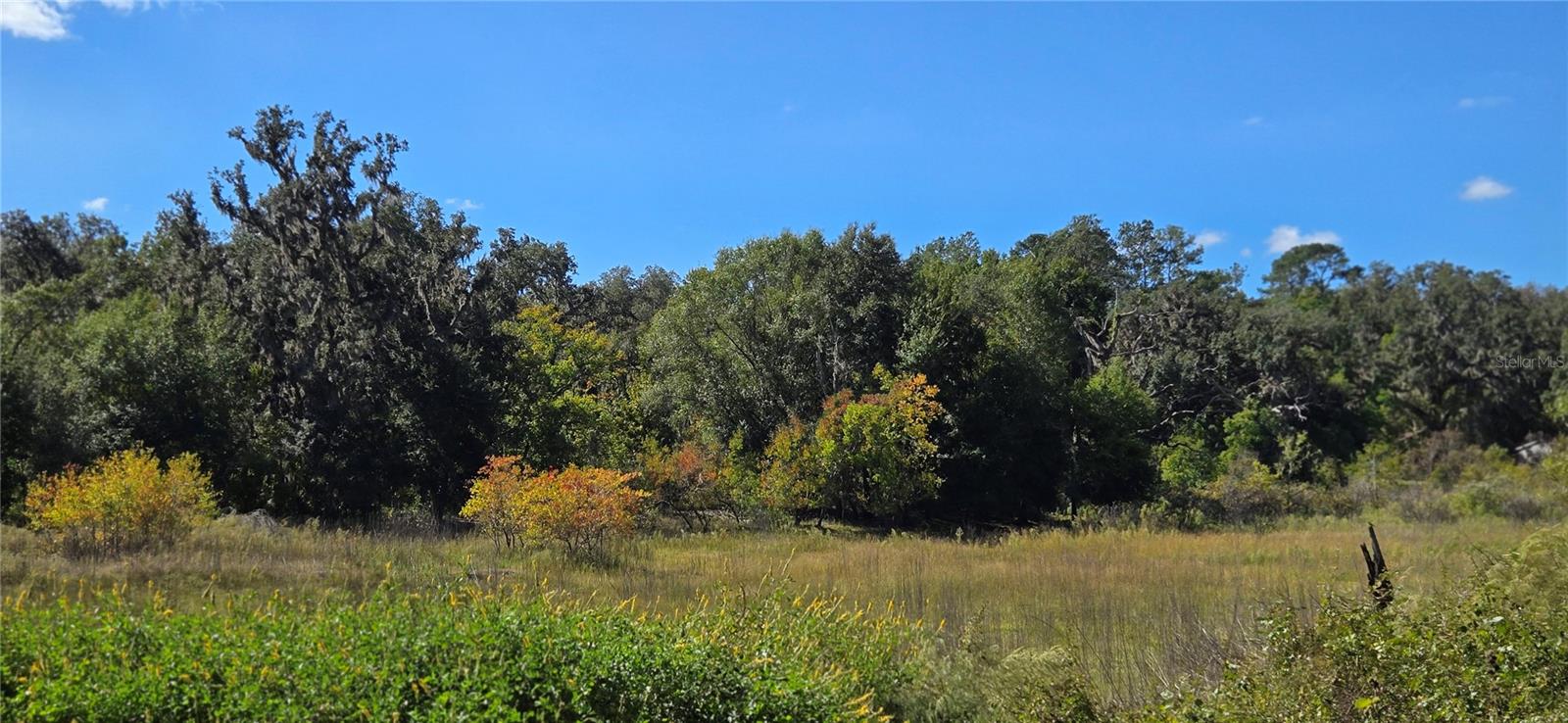 LUDLOW HEIGHTS - Land