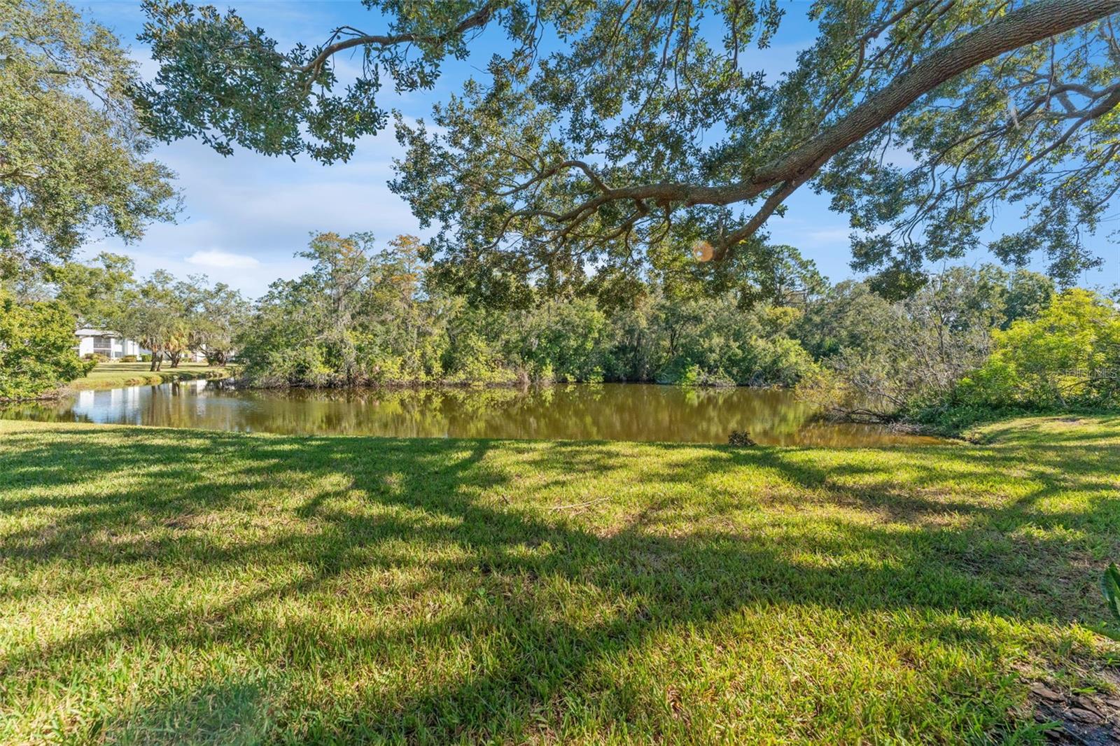 EAST LAKE WOODLANDS CYPRESS ESTATES - Residential Lease