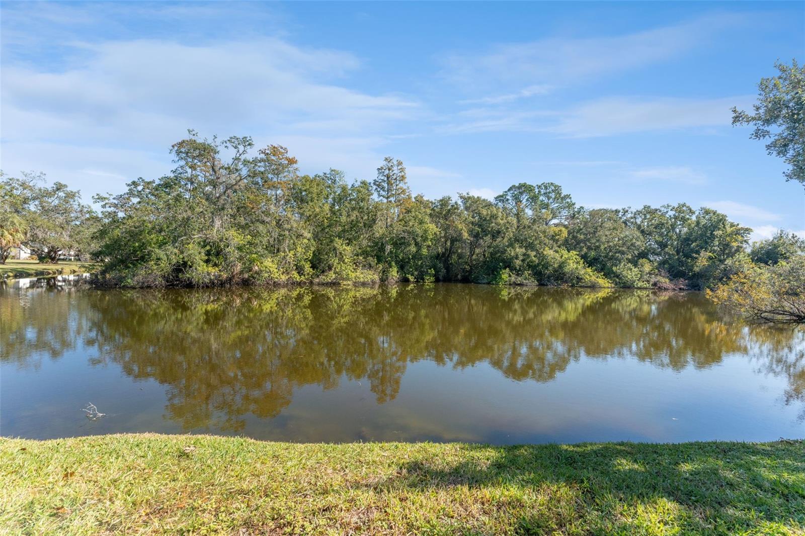 EAST LAKE WOODLANDS CYPRESS ESTATES - Residential Lease