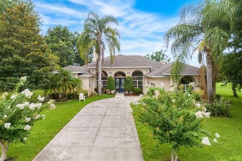 Tiny photo for 27241 County Road 448a, Mount Dora, FL 32757 (MLS # O6325376)