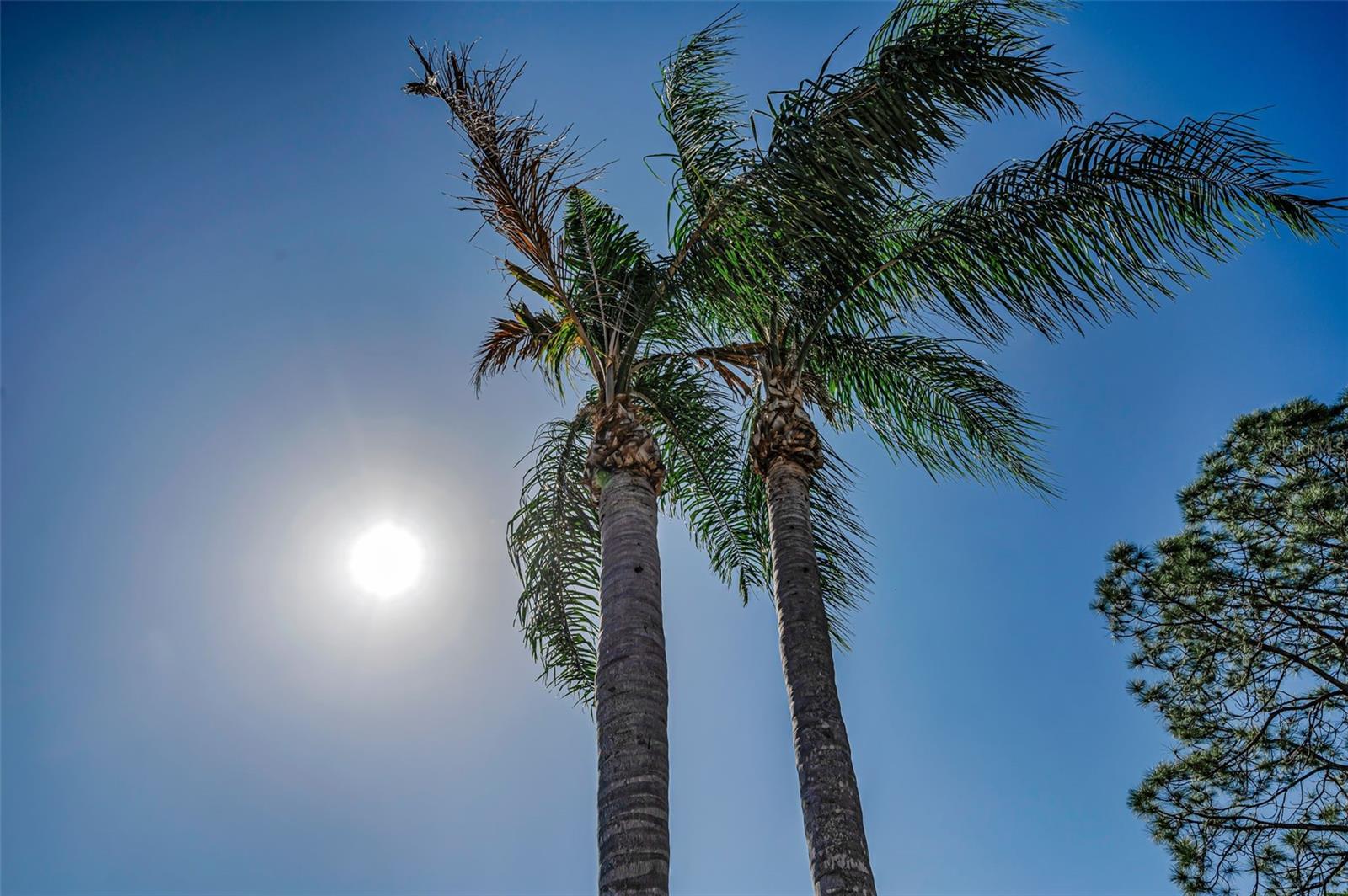 AUTUMN WOODS-UNIT II - Residential