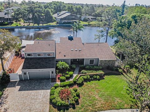Photo of 3216 Harvest Moon Drive, Palm Harbor, FL 34683 (MLS # TB8496574)