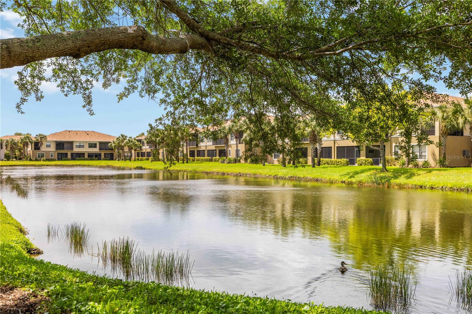 PALMA SOLA TRACE - Residential