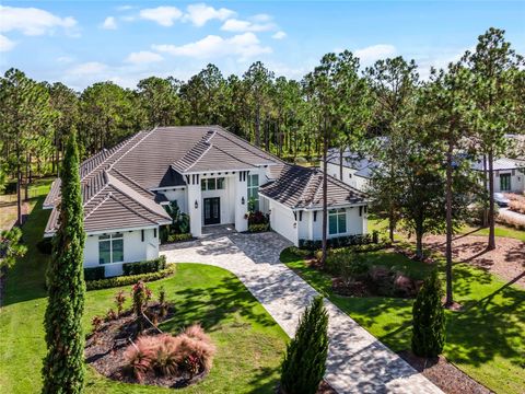 A home in MONTVERDE