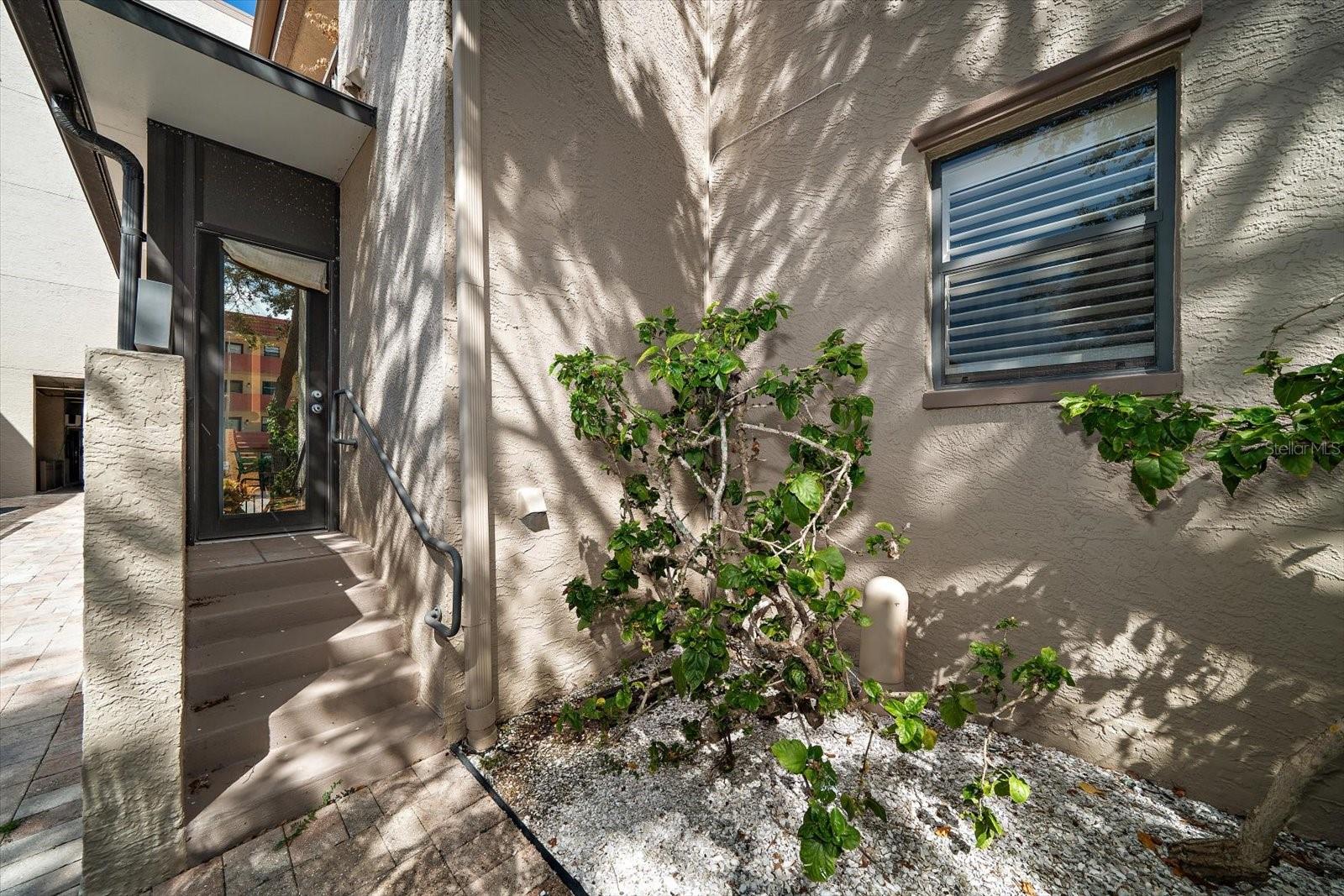 SEA CLUB OF INDIAN SHORES CONDO - Residential