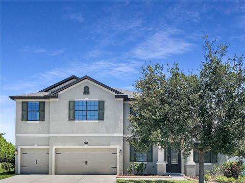 A home in RIVERVIEW